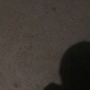 Meet your Posher, Anne